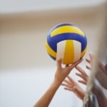 Volleyballer auf Erfolgskurs